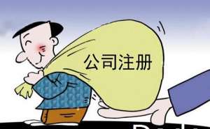 蕪湖繁昌區(qū)在如何注冊(cè)網(wǎng)絡(luò)科技公司